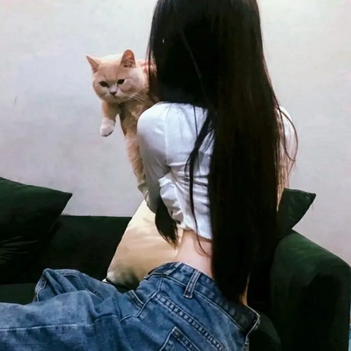 牌坊下的女人 海报